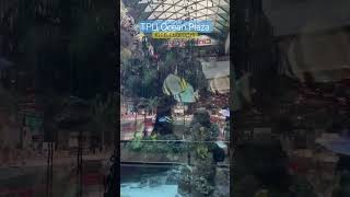 Мега-акваріум в Ocean Plaza 🐡🐠🐟