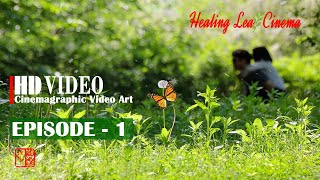 ♬Healing + 민들레 사랑 1편 (Dandelion Love EP1) [Healing leaf Cinema 풀꽃처럼]