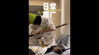 又到了快乐时光啦～ #杜宾 #精神抚慰犬 #依宝硬核高钙宠物牛奶