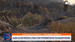 Εικόνες καταστροφής άφησε πίσω της η πύρινη λαίλαπα στη Χασιά | Κεντρικό Δελτίο Ειδήσεων  | OPEN TV