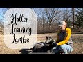 Halter training lambs | show lambs