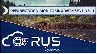 RUS Webinar: Deforestation Monitoring with Sentinel-1 - LAND07