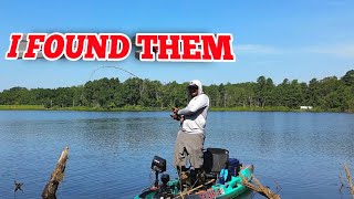 FISHING A PRIVATE LAKE SEARCHING FOR GIANTS!