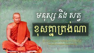 តើមនុស្ស​ ហើយនិង សត្វ ខុសគ្នាត្រង់ណា?