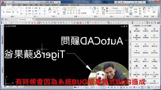 AutoCAD 文字鏡射翻轉