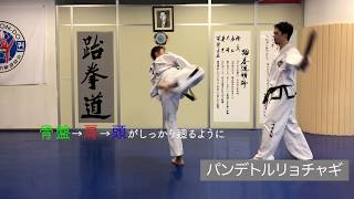 テコンドー 黄　秀一師賢が教えるパンデトルリョチャギ (後ろ回し蹴り) Hwang Suil teach how to spin hook kick  ITF태권도 반대돌려차기  잘차는 방법