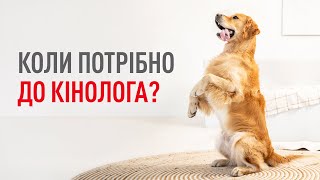 Коли власнику та собаці потрібно до кінолога?