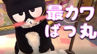 最カワばつ丸【グリーティング】【サンリオピューロランド】