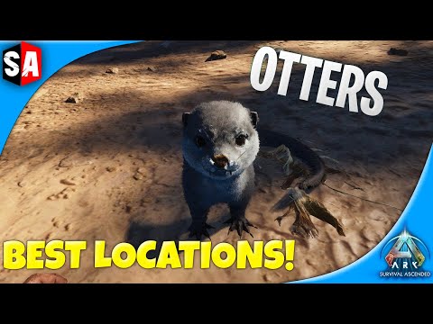 How to Find and Tame an Otter in Ark: Survival Ascended