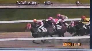 ケッパレ岩手競馬　盛岡競馬場