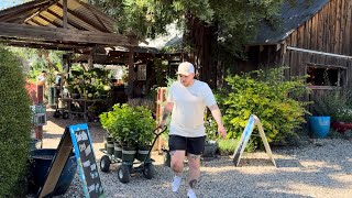 Picking Up A MASSIVE Load Of Plants! 🪴|| Visit Our Garden