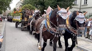 GLOBALink | Germany's largest folk festival reopens after COVID-19 break