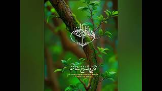 some verses from quran #youtube short