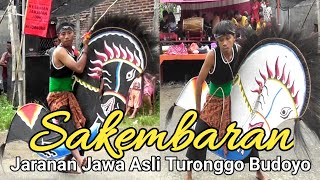 Ndadi‼️ Kembar 2 Jaranan Jowo Asli Klasik TURONGGO BUDOYO Rejoagung, Kedungwaru - Tulungagung