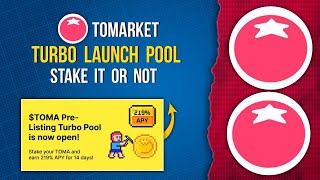 TOMARKET | $TOMA Turbo Launch Pool | Stake it or Not #tomarketairdrop #tomarket