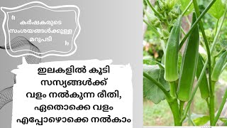 കർഷകരുടെ സംശയങ്ങൾക്കുള്ള മറുപടി 🌱 ഇലകളിൽകൂടി സസ്യങ്ങൾക്ക് വളം നൽകുന്ന രീതി എങ്ങനെയെന്നു പറയാം