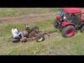 project 211 planting nearly 13 000 lob lolly pine is done land strategy video 05 07 18