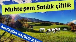 SATILDI.92-Yenice Kazdağları, Başkoz köyün’de süper kelepir çiftlik 4.250 m2.