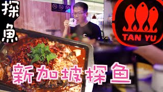 探鱼| Singapore Tan Yu | 川菜 | 烤魚 | 新加坡美食