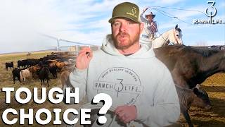 How To Choose A Ranch Rope #310ranchlife #ranchlifestyle