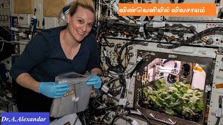 விண்வெளியில் விவசாயம் #Radish Growing in Space by NASA #NASA #Scienceday2021