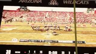 Arizona Stadium NCAA College Football EA Sports