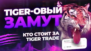 Тигровый замут. Кто на самом деле стоит за Tiger Trade?