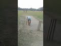 শৈশবের স্মৃতি গ্রামের কোলায় ক্রিকেট 🏏 shortvideo cricket day by day update plz follow me🏏