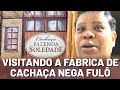 Visitamos a fábrica de cachaça ⚗️ nega fulô, fiz canja e trancei o cabelo 😃