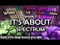 White LED vs Red Blue White LED Grow Test Ep.3 (Final Episode)