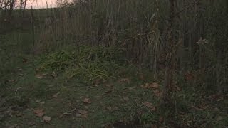 Vigo Co. conducting death investigation