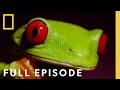 Survival (Featuring Will Smith) | Full Episode | One Strange Rock