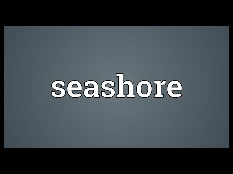 What is the another word of seashore?