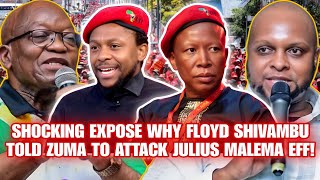 SHOCKING EXPOSE WHY FLOYD SHIVAMBU TOLD ZUMA TO ATTACK JULIUS MALEMA EFF!