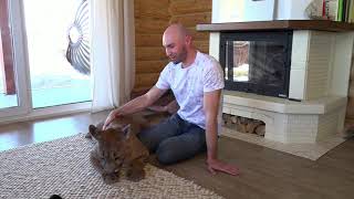 messi puma russia