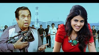 Marzi  South Released Blockbuster Full Hindi Dubbed Romantic Action Movie | Brahmanandam, Genelia