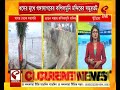 gangasagar ধসের মুখে গঙ্গাসাগরের কপিলমুনি মন্দিরের সমুদ্রতট