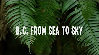 B.C. from Sea to Sky | CBC Short Film