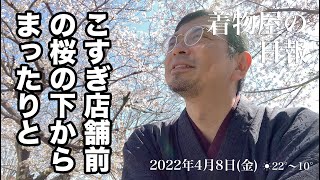 着物屋の日報　2022年4月8日(金)　＃041