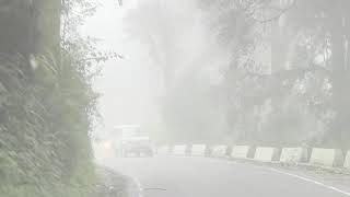 Hill Cart Road Foggy, Darjeeling