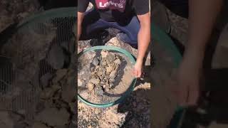 Sample Screening of Manganese Ore