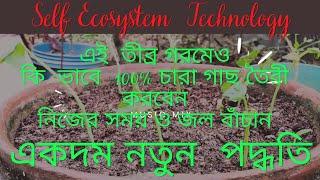 এই তীব্র গরমেও কি ভাবে সহজে বীজ থেকে চারা তৈরী করবেন। Self Ecosystem Technology । 100% Germination