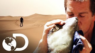 Técnicas para sobrevivir sin agua en el desierto | Escape del infierno con Bear Grylls