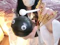 情景模拟助眠1病娇女仆给你化妆 asmr 解压