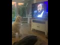 Dog Singing along to Pavarotti - BestDogsLifeUK - Nessun Dorma - Funny Dog Pet Video - Opera Dog