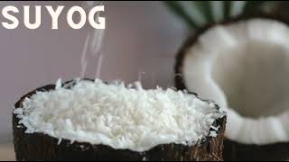 Frozen Shredded Coconut | Available on IndiaMART