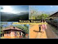 Thirunelli Wayanad- Budget Forest cottages,Forest Night drive,3000yr old Temple in Forest|Karaj Vlog