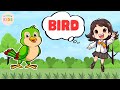 Bird Facts For Kids 🐦 Learn All About Birds | MON Kids