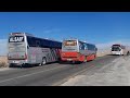 Quetta Buses | Al Saif Daewoo Bus | Al Mehmood Daewoo Bus