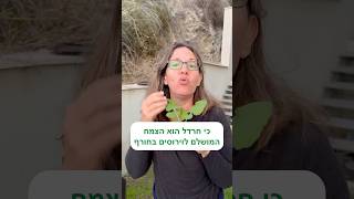 הצמח המושלם נגד הוירוסים של החורף. זה שמייבש את הנזלת ומחזק את מערכת החיסון צומח עכשיו ליד הבית-חרדל